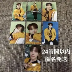 【ディノ】carat land ケレン　2025 トレカ まとめ売り