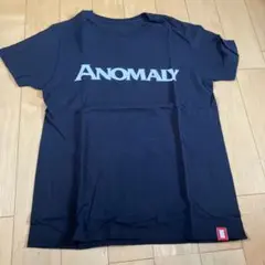 AMELLICA Tシャツ　DALUC Mサイズ　COD 古着 古着 40s 米軍 US ARMY ガスフラップ マチ付き ミリタリー