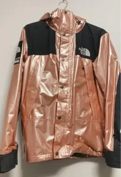 Supreme TNF Metallic Mountain Parka S
