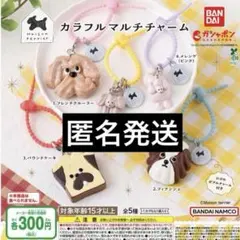 Maison terrier メゾンテリア カラフルマルチチャーム コンプ