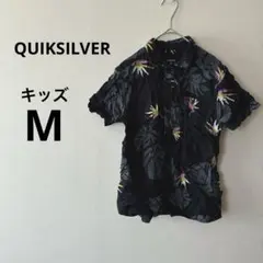 Item thumbnail for item b73d2d0c-8c4a-4378-8a33-9fecc72ff06e