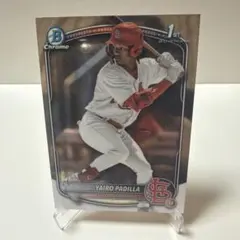 Item thumbnail for item 722cb3a7-baf8-405e-8698-f5effc9f023f