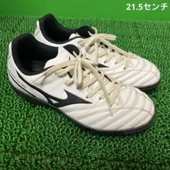 ミズノ トレーニングシューズ モナルシーダNEO 2 SELECT ASジュニア