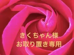きくちゃん様専用　トイレットペーパーホルダーカバー　ハワイアン雑貨　ハンドメイド