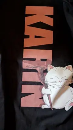 ドラゴンボール　カリン様　Tシャツ