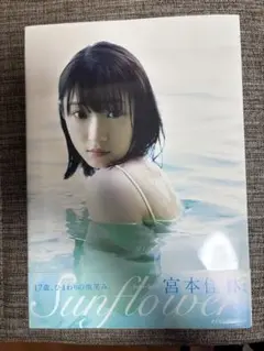 Sunflower 宮本佳林写真集