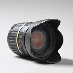 Item thumbnail for item 33ec3dbe-8cc4-4429-82a2-55d566f54847