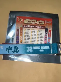 東北楽天イーグルス ボンフィン 苗字 中島大輔