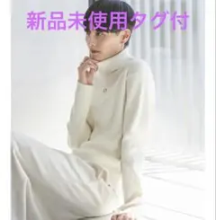 アメリカンホリックバイパチ