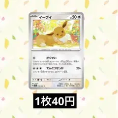 【在庫4】　ポケモンカード イーブイ　かくせい