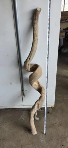 Item thumbnail for item 3a6337f2-3040-4919-b4a6-5b7b873d75ec