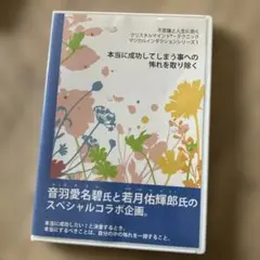 本当に成功してしまう事への怖れを取り除く　音羽愛名碧　クリスタルマインド