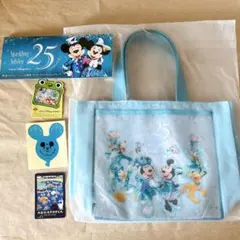 ボールペン】 ディズニー 25周年 アグラバーマーケットプレイス 2本