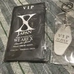 WE ARE X VIPパスとキーホルダーセット
