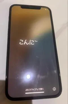 Apple iPhone 12 Pro パシフィックブルー　箱　なし