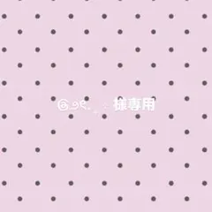 専用ページ