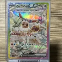 ピ*子様 イーブイex sar