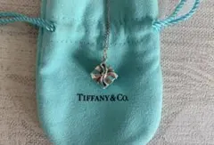 Tiffany & Co.（ティファニー）ギフトボックス ペンダント　ネックレス