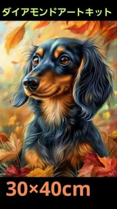 ダックスフンドイラスト　ダイヤモンドアートキット 30×40cm