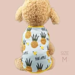 Item thumbnail for item d69b85c1-2f30-4bbe-a5a3-066cb605eea6