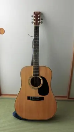 2026年最新】kansas ギターの人気アイテム - メルカリ