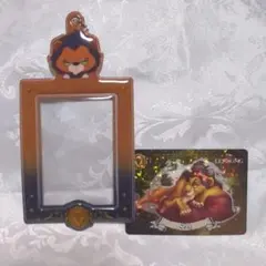 P*y様 ディズニーヴィランズ カードケース スカー セット売り