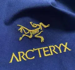 2025年最新】arc'teryx thetaの人気アイテム - メルカリ