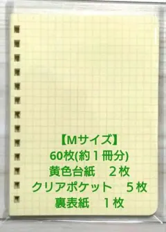 Item thumbnail for item a53402e2-4af2-44a5-b86b-e8bd833a389b