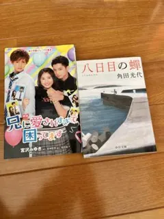 Item thumbnail for item 385faf26-f89f-4f11-9a07-de0562ff642c