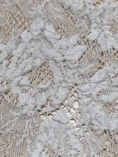 レース　生地　1m ③