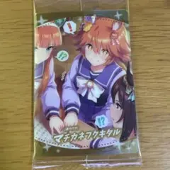 ウマ娘ツインウエハース第4R マチカネフクキタル　サポートカードSR
