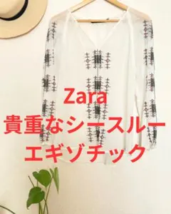 Zara 刺繍シースルーカットソー