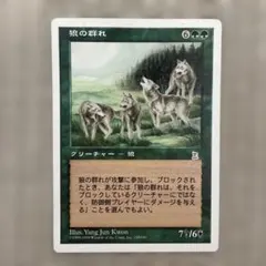 MTG 狼の群れ Pack of Wolves 日本語のサムネイル