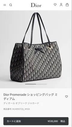 「新作」Dior Promenade トートバッグ ミディアムのサムネイル