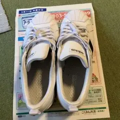 Item thumbnail for item c0d2fc77-73bb-4248-8d38-8dbbeddd16cb