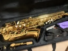 Selmer AS300 USA サックス 本体ケース付き - メルカリ