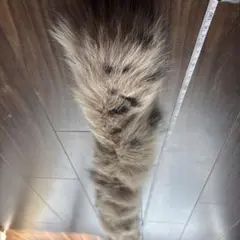 ボア・ファー 約130cm ベージュ・茶色・黒の斑点