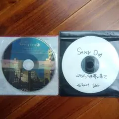 2026年最新】saucy dog cd 廃盤の人気アイテム - メルカリ