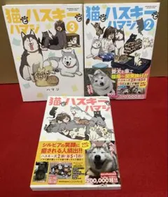 Item thumbnail for item 73fab7aa-31fb-4389-bbe1-6d180ee49e0d