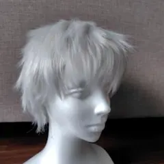 ウィッグ　コスプレ　カリムアルアジーム風