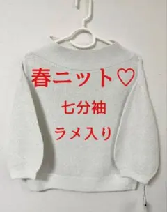 ホールガーメント ポリエステル