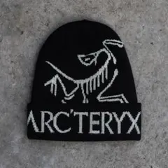 ビーニーy2kグランジ　テック　ブラック