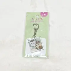 ちいかわ　アクリルキーホルダー5 うさぎ　モモンガ