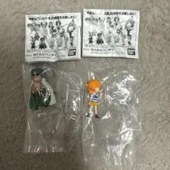 ワンピの実　第二十四海戦　アラマキ　ナミ