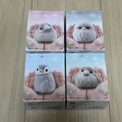 2025年最新】もふもふてのりフレンズ 文鳥の人気アイテム - メルカリ