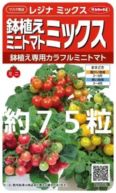 ぽちぽた(°▽°)様 リクエスト 2点 まとめ商品