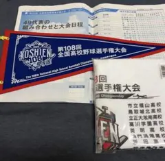 ②101回 甲子園高校野球 対戦校看板マグネットプレート - メルカリ