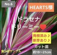 HEARTS様 リクエスト 3点 まとめ商品