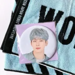 2025年最新】seventeen 缶バッジ ウォヌの人気アイテム - メルカリ