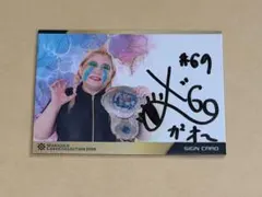 女子プロレス マリーゴールド 直筆サイン入りカード メガトン トレカ